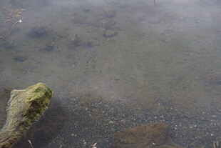 水中石块 静谧自然景象