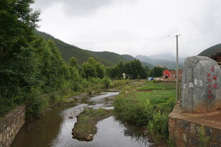 山间小溪旁的自然景致