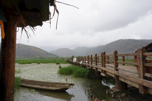 水乡木桥小船的静谧景致