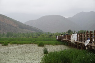 山间栈道旁的湿地景观