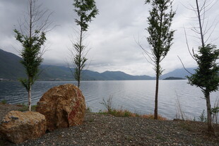 湖畔岩石小树的自然景致