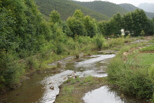 山间小溪 绿意盎然的景致