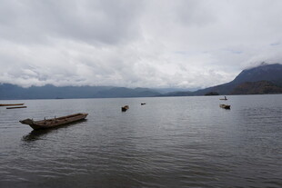 宁静湖面漂浮的朽木