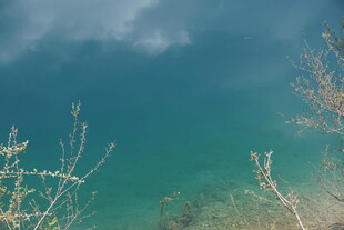 湖畔春景 湖水与枯枝相映