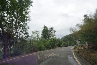 蜿蜒山间公路 绿树相伴