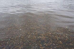 浅滩上的水波与碎石