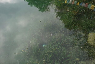 湖面倒影与岸边景象