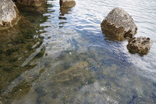 清澈水中的嶙峋石块