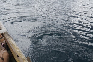 乘船观海面波纹景象