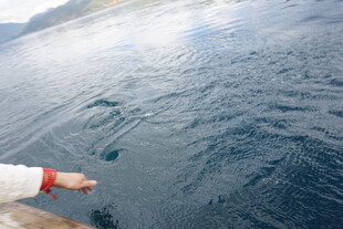 手伸向波光粼粼的海面