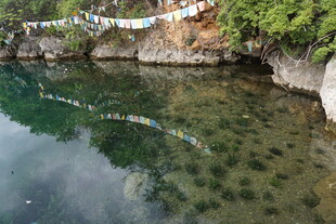 清澈湖水边的经幡悬挂景