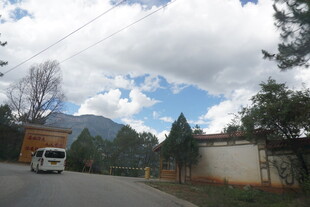 乡村公路旁风景