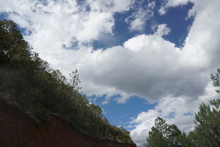 蓝天白云下的山林景致