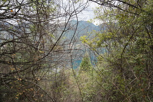 林间窥景赏湖光山色