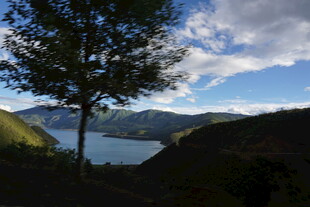 山间湖畔孤树美景