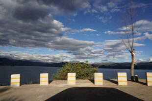 湖畔风景 蓝天白云与树木