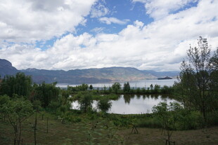 湖畔风光 远山近水绿意浓