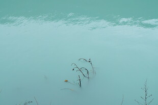 浅蓝水面上的稀疏水草