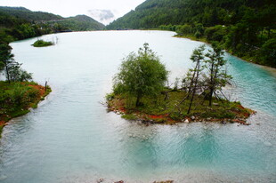 美丽湖心岛自然风光