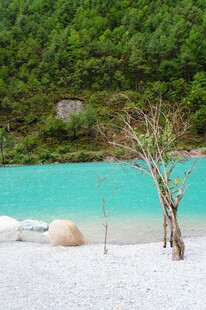 蓝湖孤树 山林静谧美景