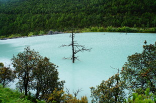 翠绿山林环绕的澄澈蓝湖