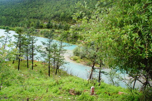 山间翠绿河流风景图