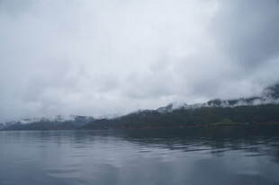 云雾笼罩的宁静河岸风光