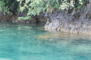 清澈碧绿的山间水域