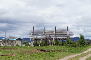 乡村田野中的简易木架设施