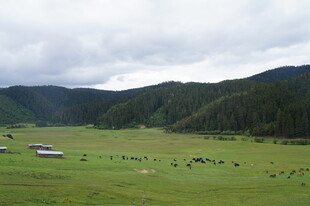 草原山谷风光 宁静自然