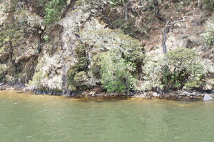 河畔嶙峋山石与碧绿河水