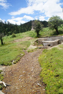 山间小径旁的开阔草地景观