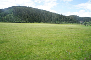 广袤绿野与远处青山