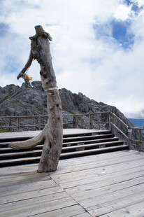 山间栈道旁的奇特枯木