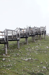 草原上的木质栈道