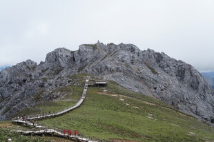 高山草甸间的蜿蜒山路