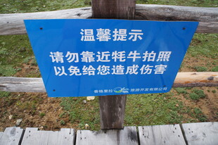 岸边温馨提示牌