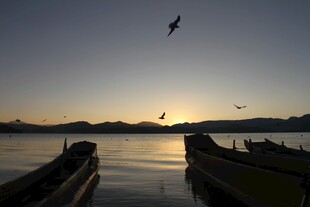 夕阳下湖面的船只与飞鸟
