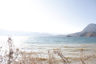 海边景致 远山与萧瑟草木