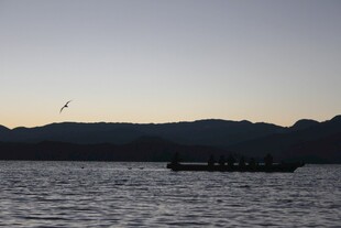 黄昏湖畔 飞鸟与远山景致