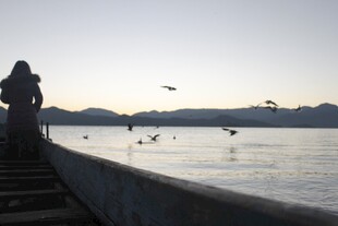 夕阳下岸边的观鸟人
