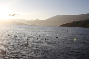 夕阳下波光粼粼的宁静湖面