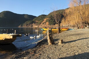 湖畔冬日静谧景致