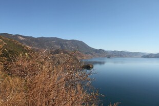 宁静湖畔的自然美景