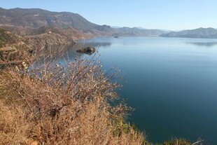 湖畔枯木与远山碧水