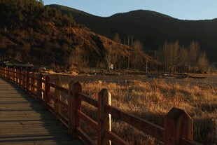 山间木栈道旁秋日风光