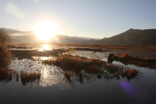 日出下的湿地风光