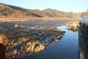 湖畔芦苇与远山美景
