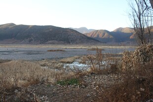 荒野中的开阔河岸景观