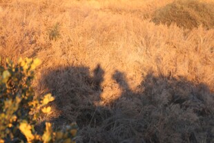 夕阳下的人影与自然景观